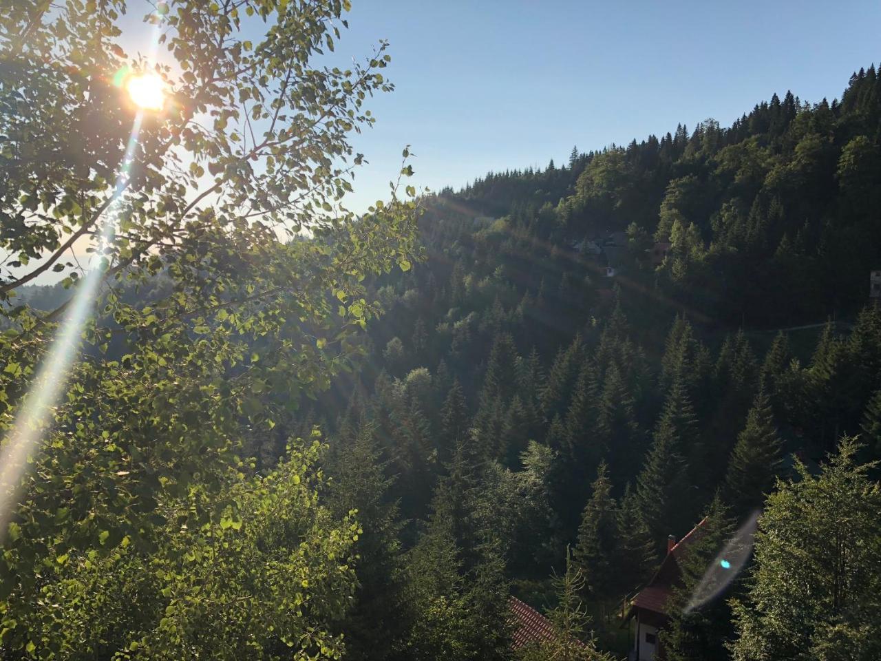 Appartement Stara Bacija à Kopaonik Extérieur photo