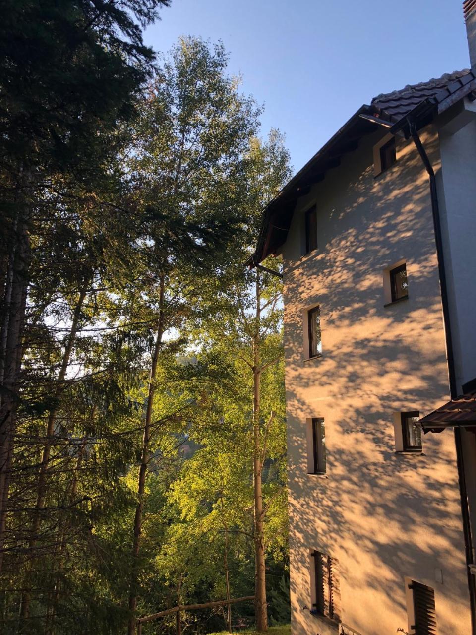 Appartement Stara Bacija à Kopaonik Extérieur photo