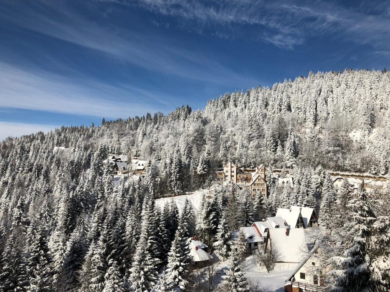 Appartement Stara Bacija à Kopaonik Extérieur photo
