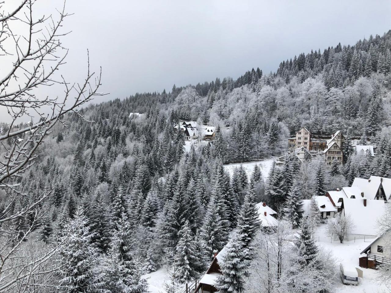 Appartement Stara Bacija à Kopaonik Extérieur photo